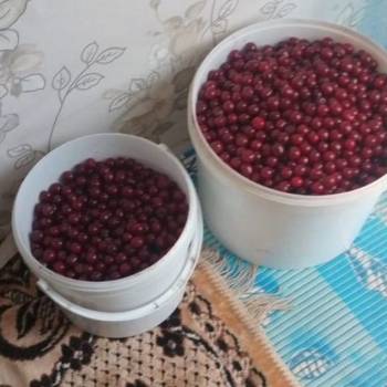 Продается Участок, 2300 м²