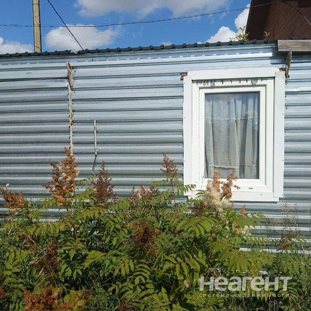 Фотография №2