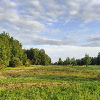 Продается Участок, 8000 м²