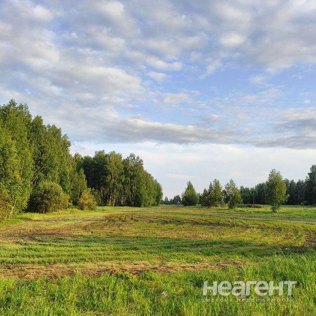 Фотография №2