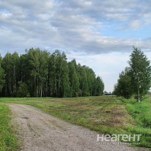 Фотография №3