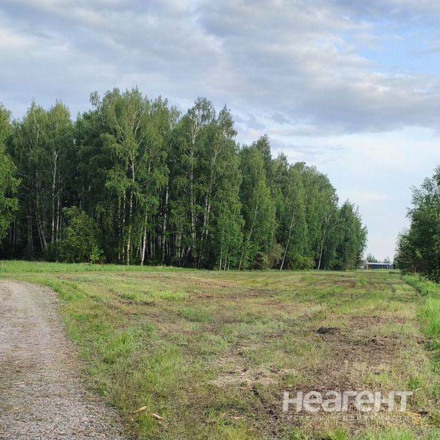 Фотография №4