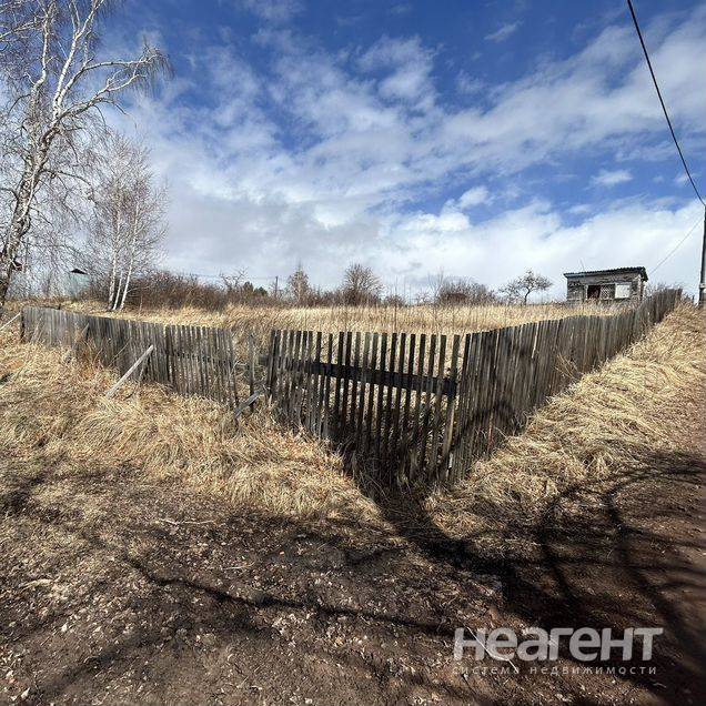 Фотография №2