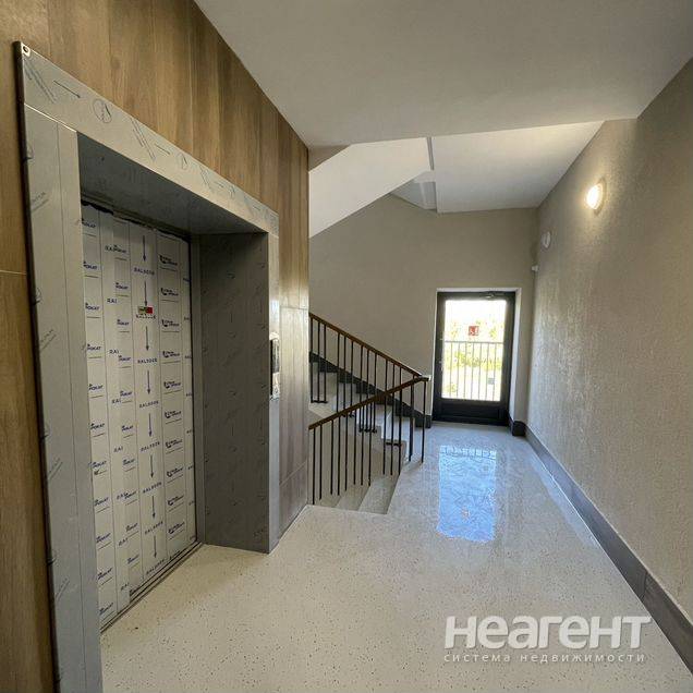 Фотография №3