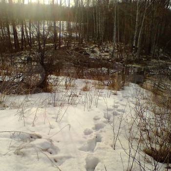 Продается Дом, 20 м²