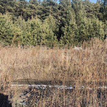 Продается Участок, 900 м²