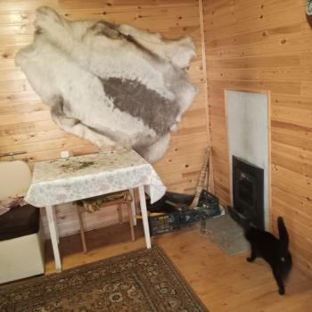 Продается Дом, 42 м²