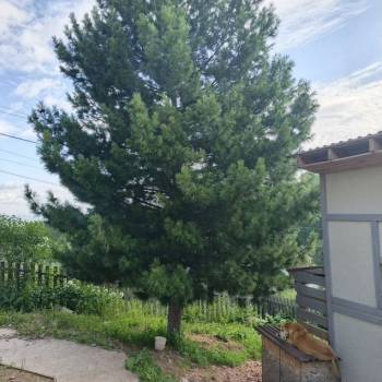 Продается Дом, 72 м²