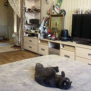 Продается 2-х комнатная квартира, 50 м²