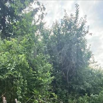 Продается Участок, 540 м²