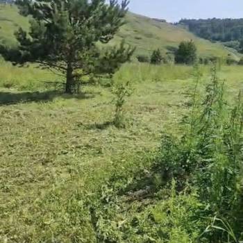 Продается Участок, 3000 м²