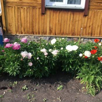 Продается Дом, 40 м²