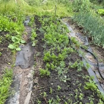 Продается Участок, 900 м²