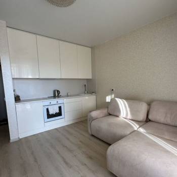 Продается 1-комнатная квартира, 26,3 м²