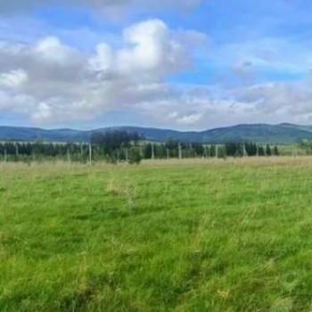 Продается Участок, 21000 м²