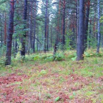 Продается Участок, 1000 м²