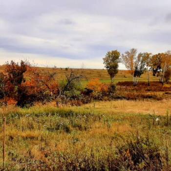 Продается Участок, 150000 м²