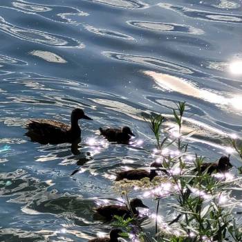 Продается Дом, 60 м²