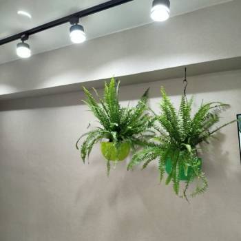 Сдается Комната, 14 м²