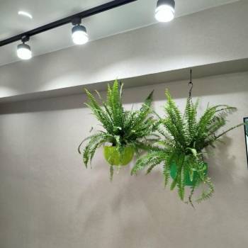 Сдается Комната, 14 м²