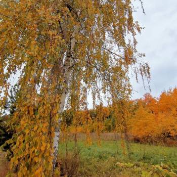 Продается Участок, 1250 м²