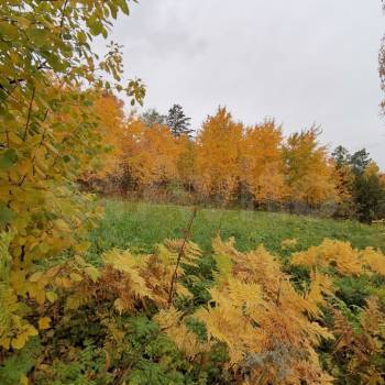 Продается Участок, 1250 м²