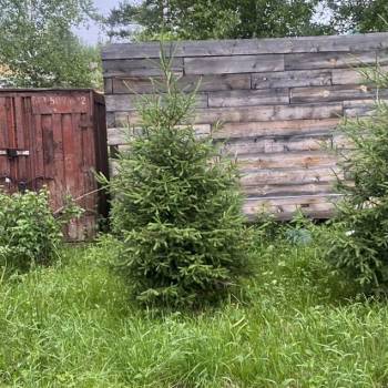 Продается Дом, 30 м²