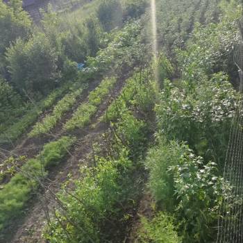 Продается Участок, 800 м²