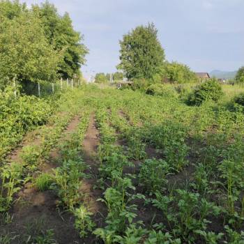 Продается Участок, 800 м²