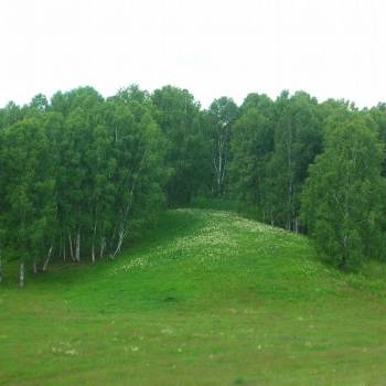 Продается Участок, 1000 м²