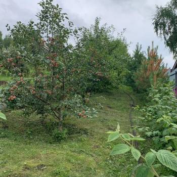 Продается Участок, 630 м²