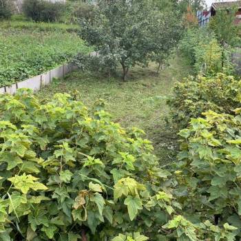 Продается Участок, 630 м²