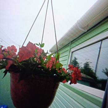 Продается Дом, 60 м²