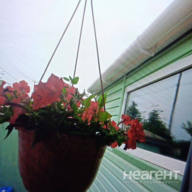 Продам дом, Черемушки (ул. Даурская)