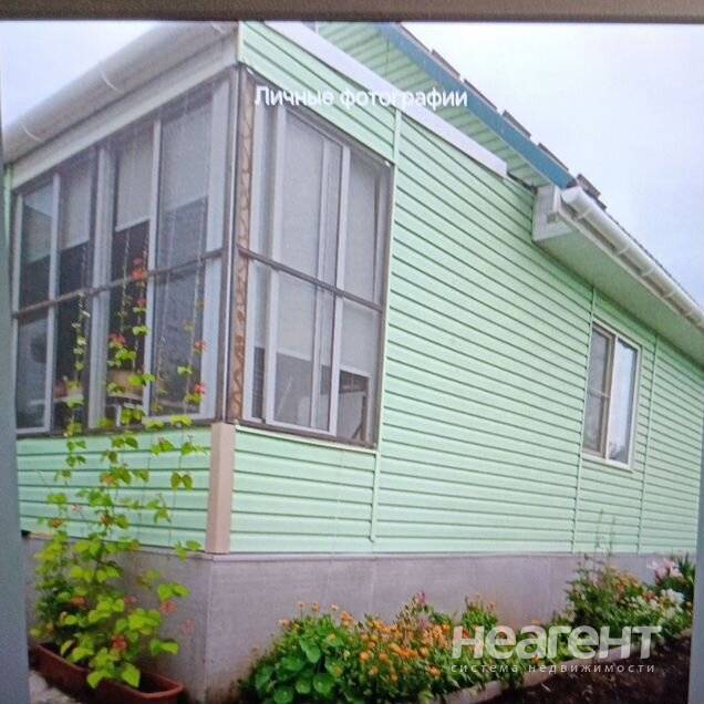 Фотография №2