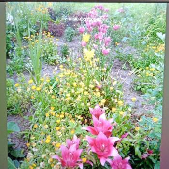 Продается Дом, 60 м²