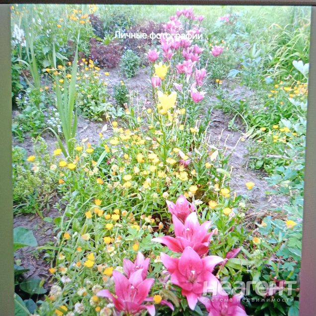 Фотография №3