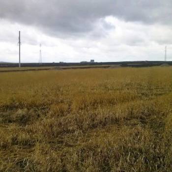 Продается Участок, 1000 м²