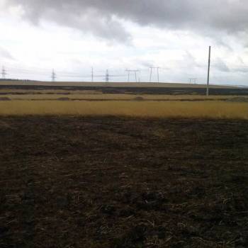 Продается Участок, 1000 м²