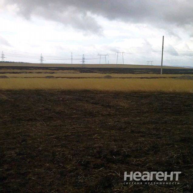 Фотография №2