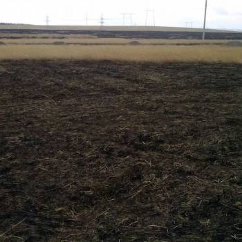 Продается Участок, 1000 м²