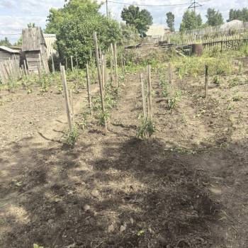 Продается Участок, 500 м²