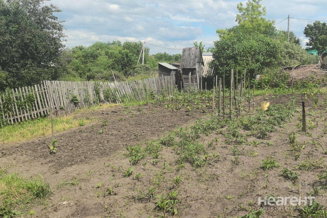 Фотография №2