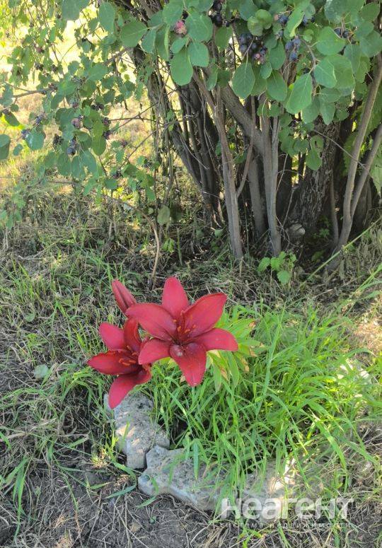 Фотография №3