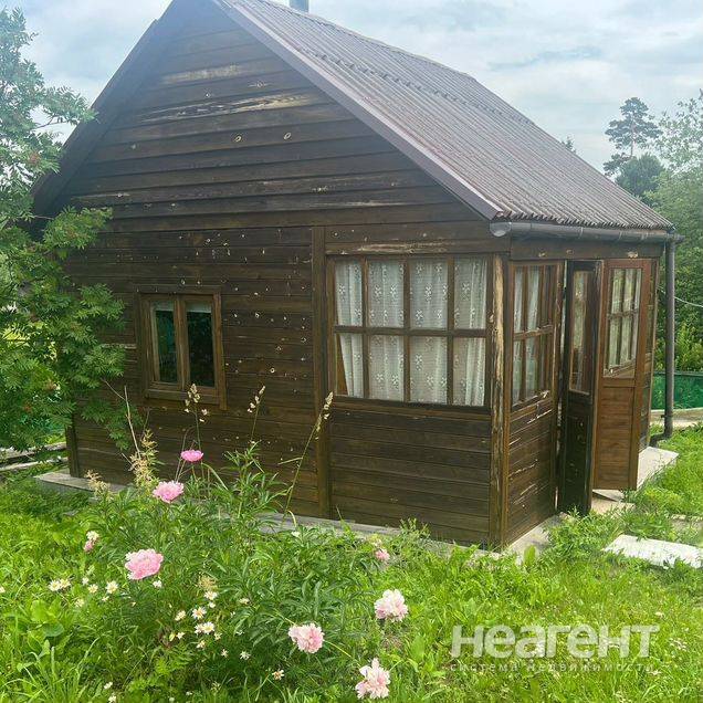 Фотография №2