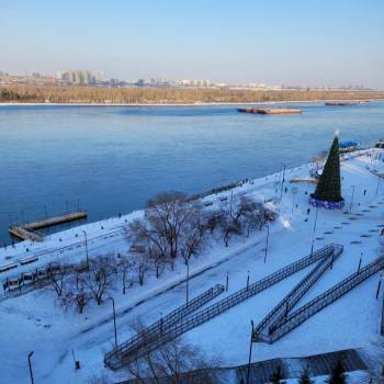 Сдается Многокомнатная квартира, 64 м²