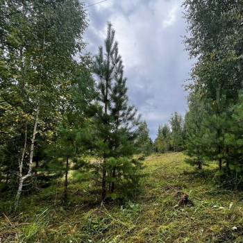 Продается Участок, 1200 м²