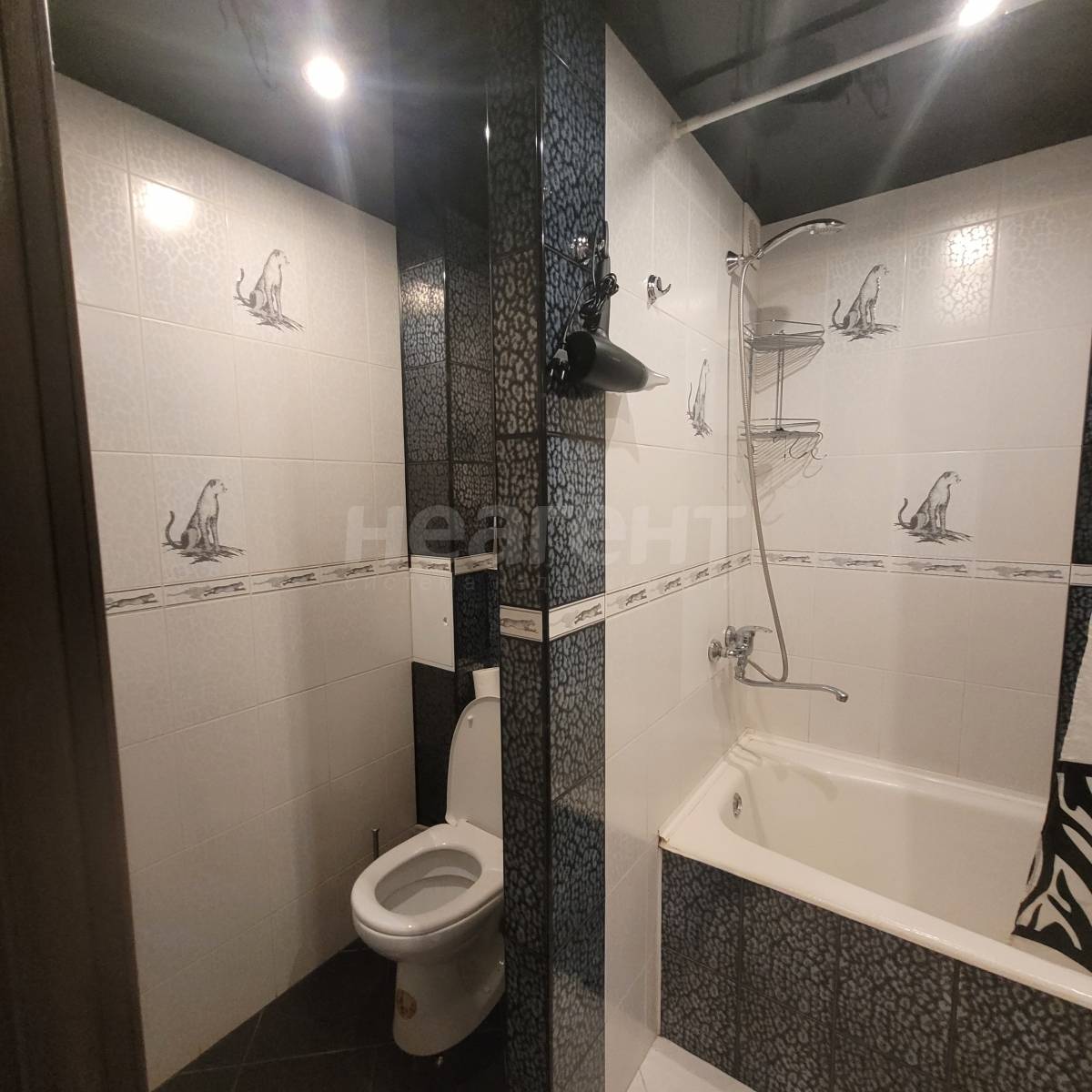 Фотография №10