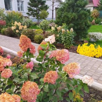 Продается Дом, 314 м²