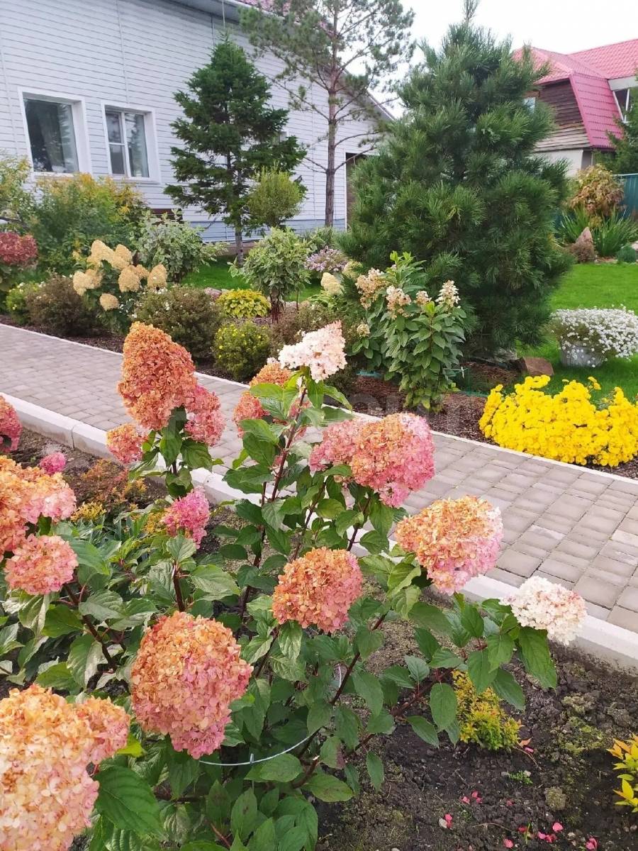 Фотография №18